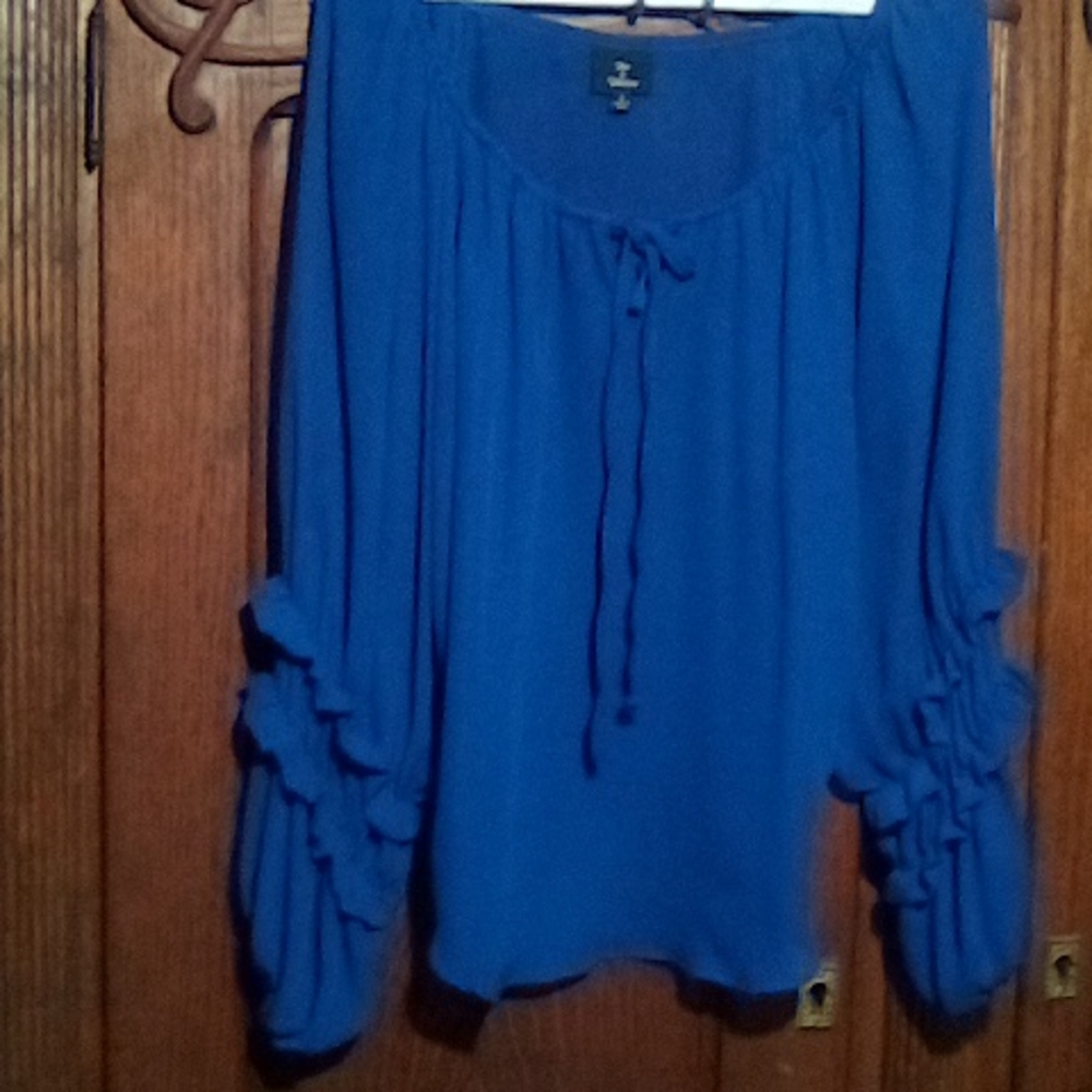 Beautiful blue top (238)